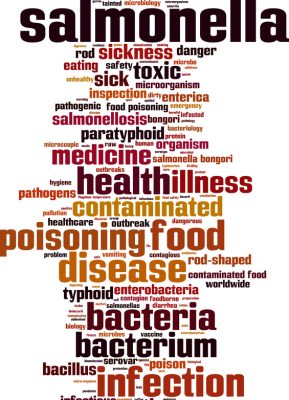 salmonella-outbreak-image